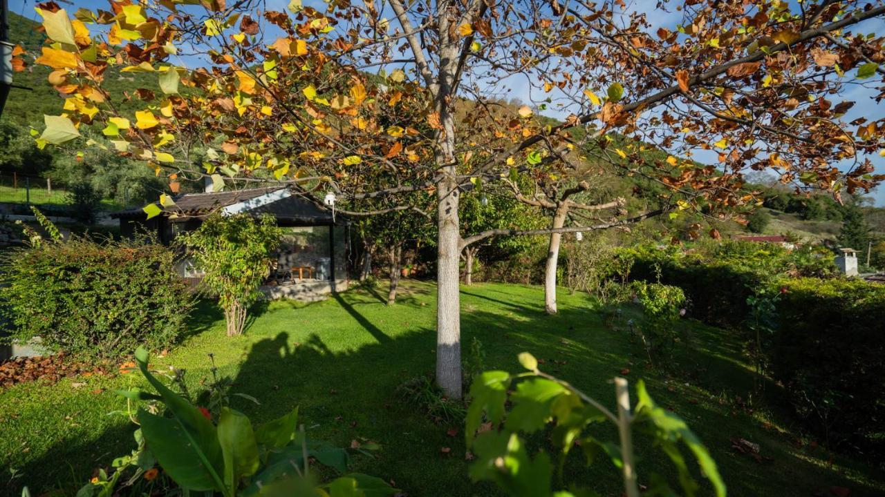 Lago Village House Kalampaka Exteriör bild